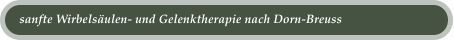 sanfte Wirbels�ulen- und Gelenktherapie nach Dorn-Breuss